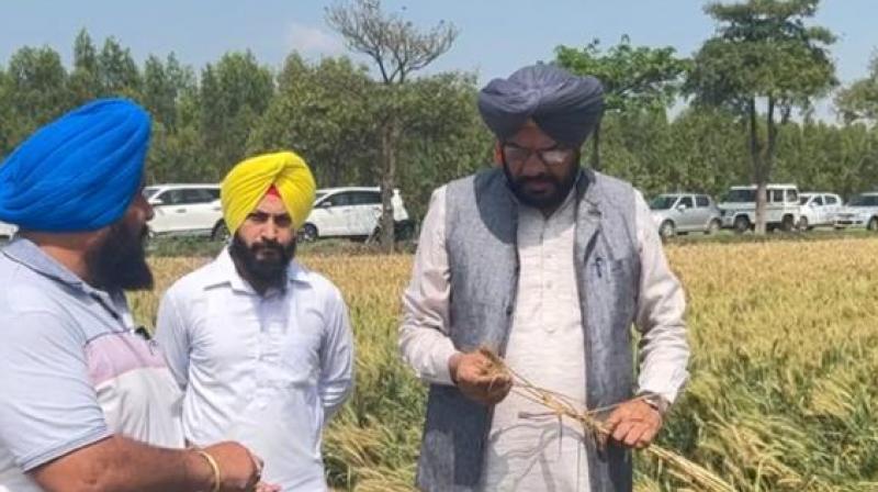 Agriculture Minister Kuldeep Singh Dhaliwal visited Ghanoor and Rajpura constituencies