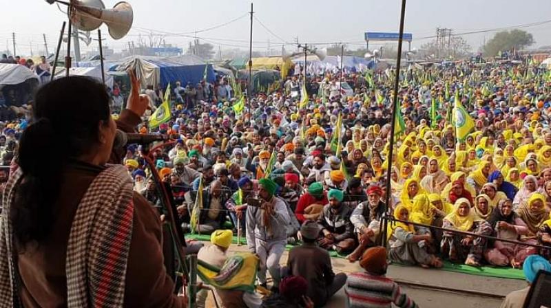 farmer protest farmer protest