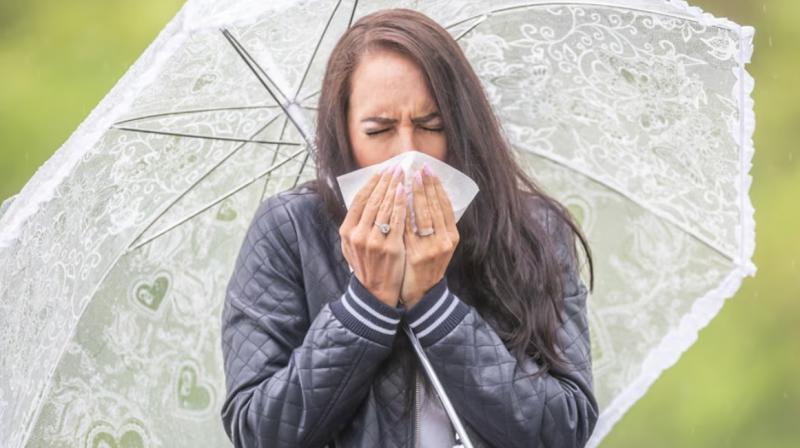 Monsoon Health Risks Monsoon Health Risks