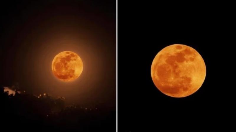 Strawberry Super Moon 2022 Strawberry Super Moon 2022