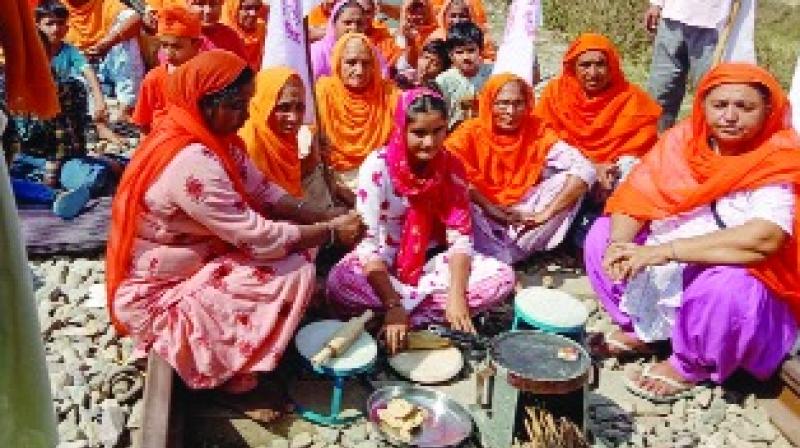 Punjab Farmers 