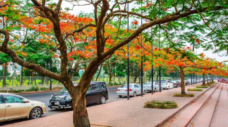 Bangladesh Bangladesh