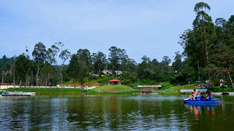 Wellington Lake Wellington Lake