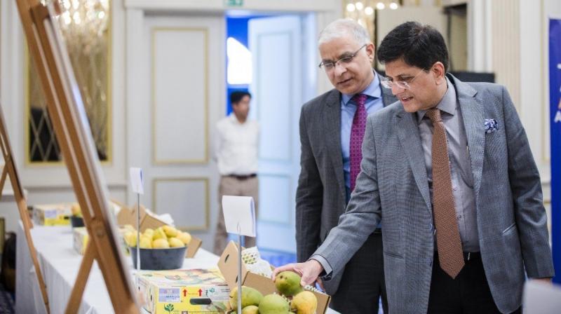 Piyush Goyal inaugurates 'Mango Festival' in Belgium