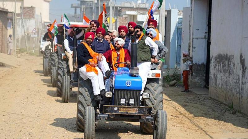 The Punjab Congress took out a farmer's rescue march across the state News in punjabi The Punjab Congress took out a farmer's rescue march across the state News in punjabi