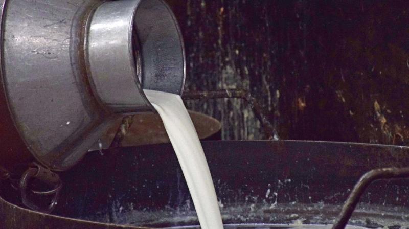 milk milk