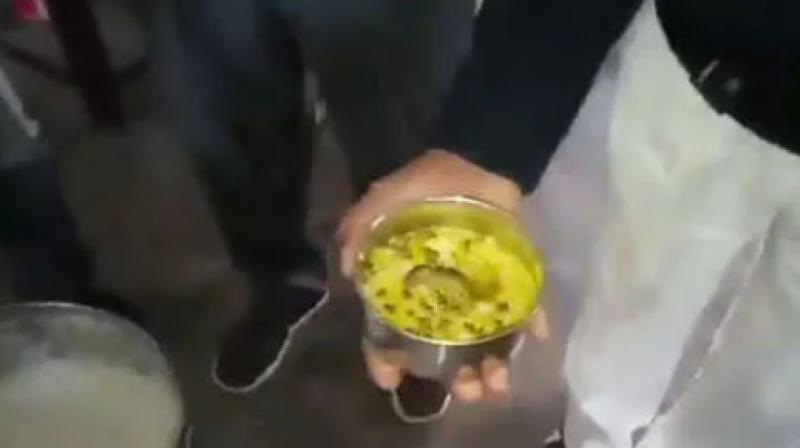 Rat found in mid day meal Rat found in mid day meal