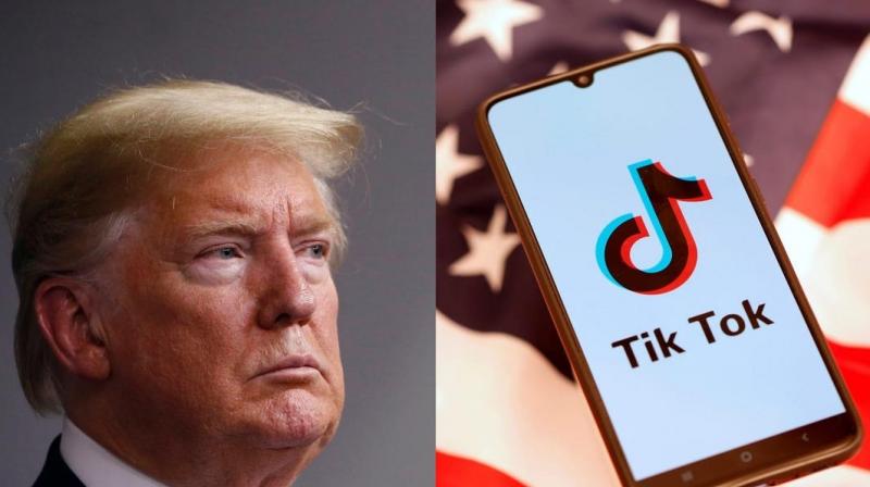 trump trump