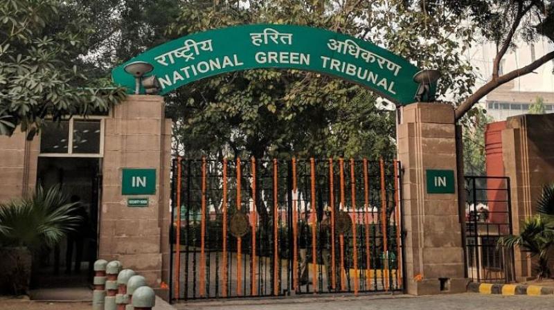 National Green Tribunal