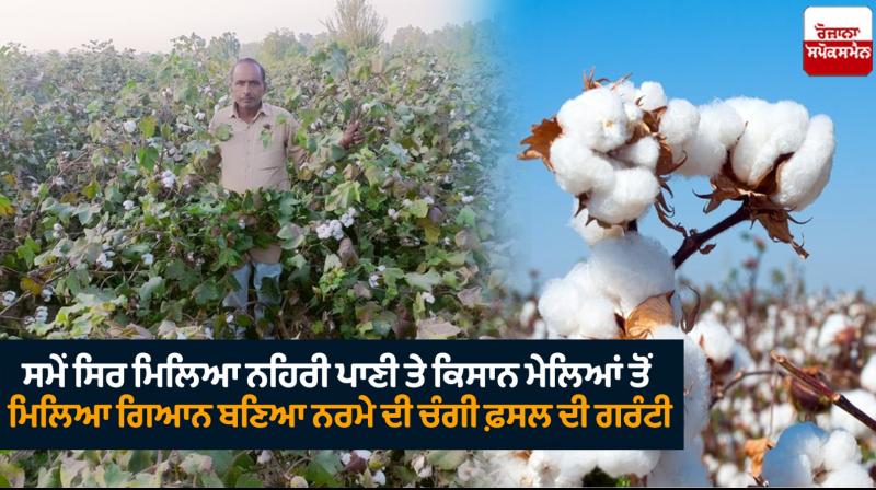 Succes Story of Cotton Farmer