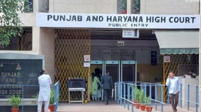 high Court high Court