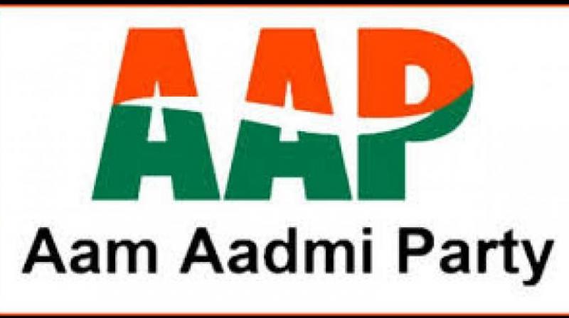 AAP AAP