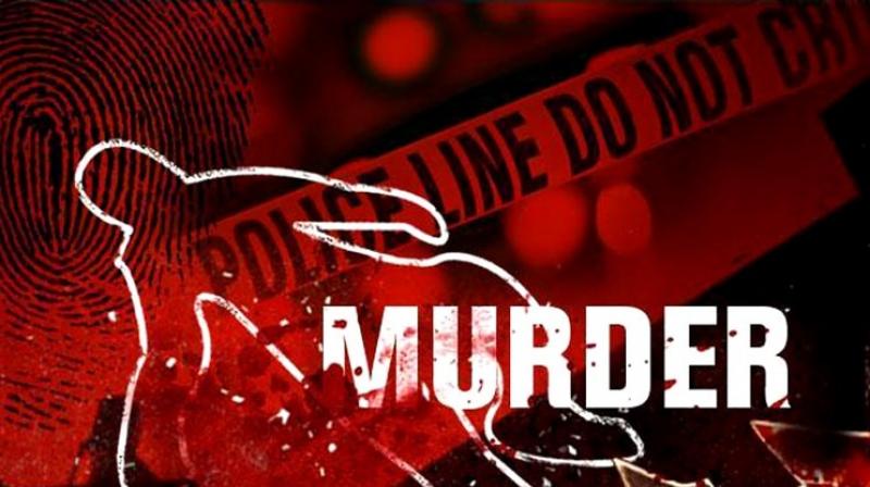 murder murder