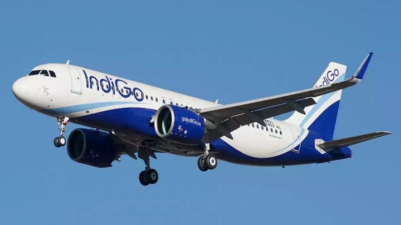 Indigo Flight Indigo Flight