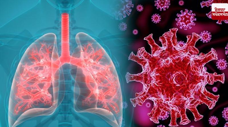 Shocking! 90% of recovered COVID-19 patients in Wuhan suffering from lung damage: report Shocking! 90% of recovered COVID-19 patients in Wuhan suffering from lung damage: report