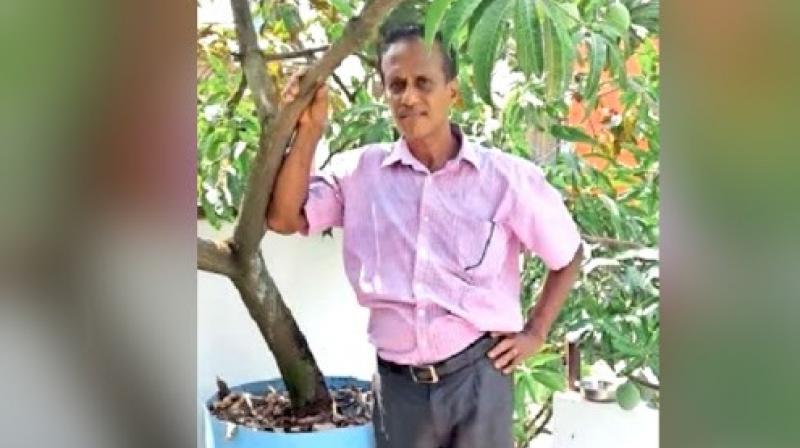 Kochi man grows 40 varieties of mangoes on his rooftop Kochi man grows 40 varieties of mangoes on his rooftop