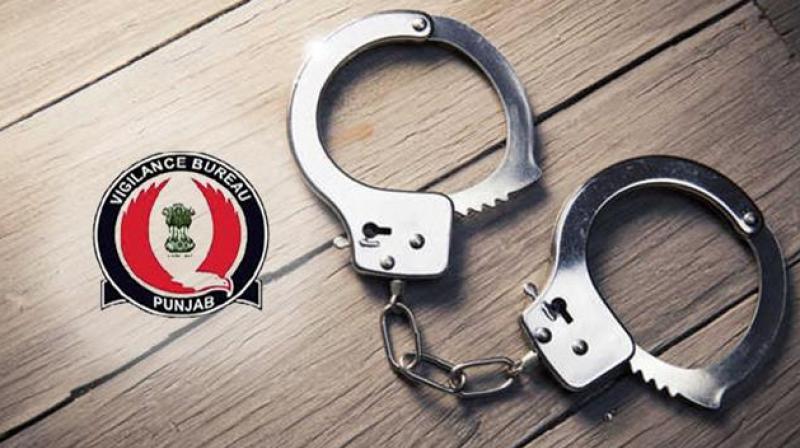 The Vigilance Bureau nabbed the ASI for taking a bribe of Rs 5,000 The Vigilance Bureau nabbed the ASI for taking a bribe of Rs 5,000