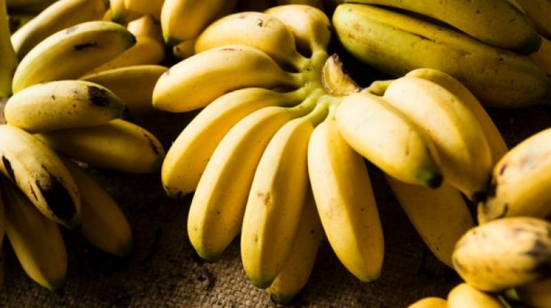 Benefits of small bananas