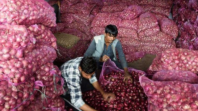 Onion Onion