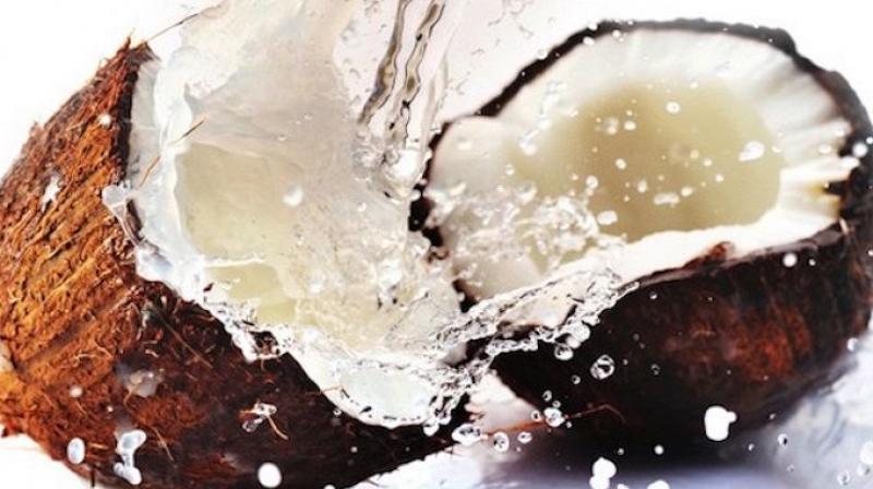 coconut coconut