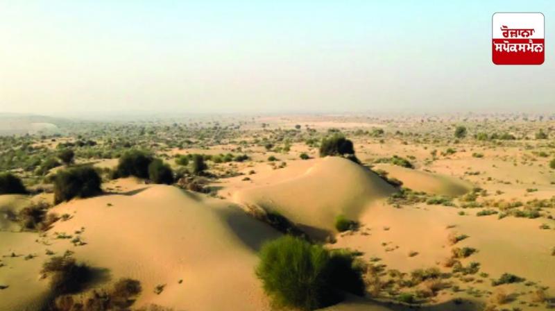 Punjab will become a desert in the next 20 years Punjab will become a desert in the next 20 years