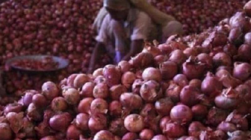 onion onion