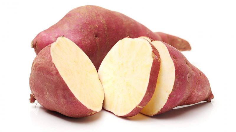 sweet potato sweet potato