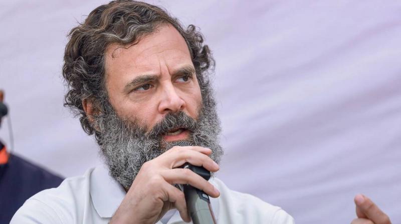 Rahul Gandhi Rahul Gandhi