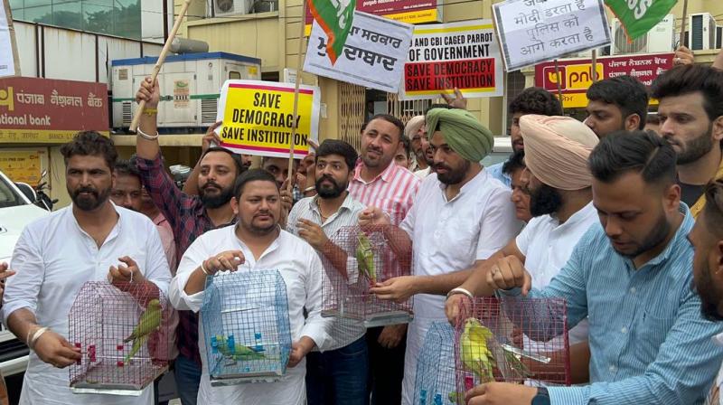 ED and CBI parrots of Modi government: Barinder Singh Dhillon ED and CBI parrots of Modi government: Barinder Singh Dhillon
