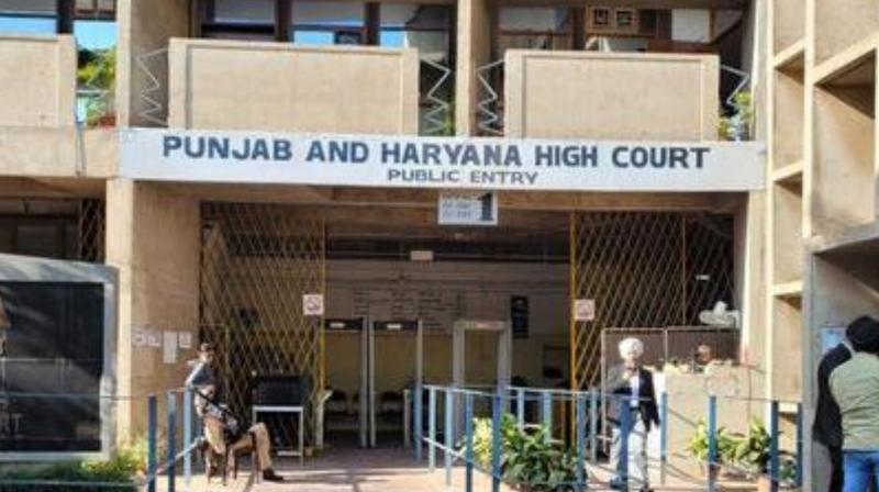 High Court refused to grant bail to Lawrence Bishnoi gang member High Court refused to grant bail to Lawrence Bishnoi gang member