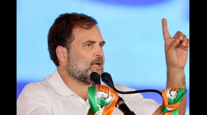 Rahul Gandhi Rahul Gandhi