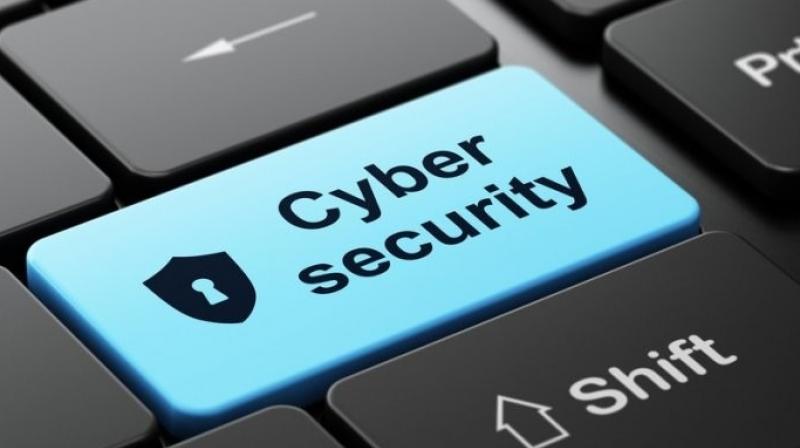 cyber fraud