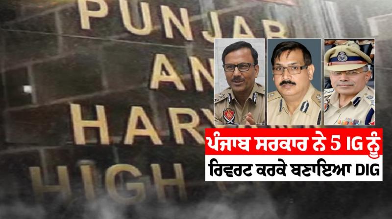 Punjab News Punjab News