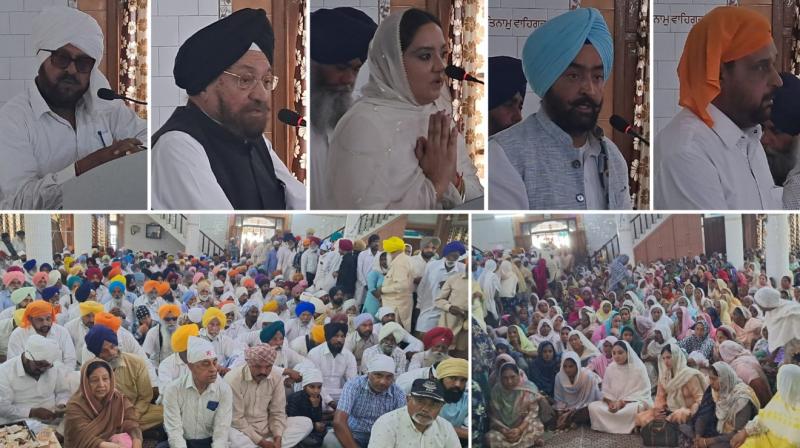 Punjab news Punjab news