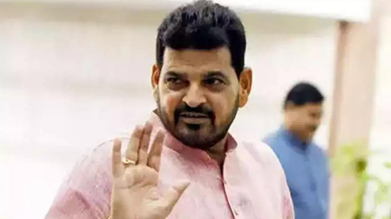 Brij Bhushan Sharan Singh Brij Bhushan Sharan Singh