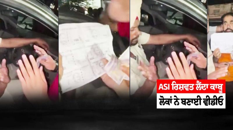 Punjab News Punjab News