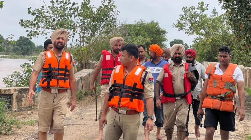 Punjab News Punjab News