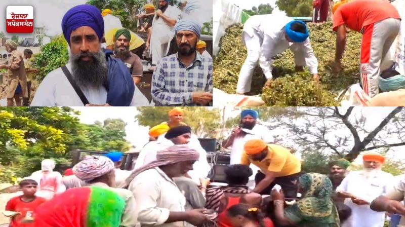 Punjabi News Punjabi News
