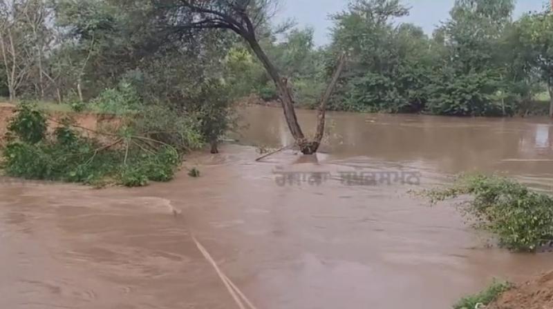 Punjab News Punjab News