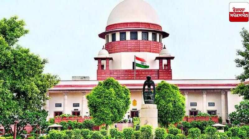 Stray dog case: Supreme Court summons chief secretaries of states Stray dog case: Supreme Court summons chief secretaries of states