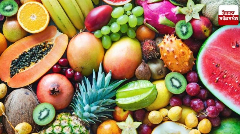fruits in summer fulfill the water deficiency fruits in summer fulfill the water deficiency