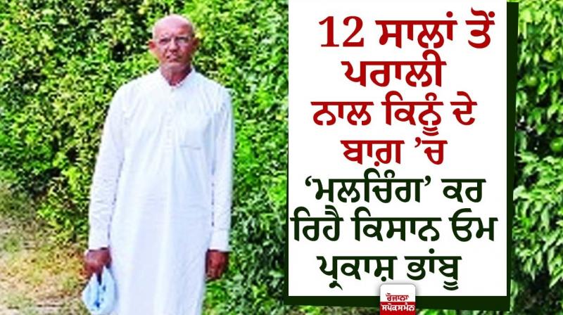 Mulching With Straw By Fazilka Farmer Mulching With Straw By Fazilka Farmer