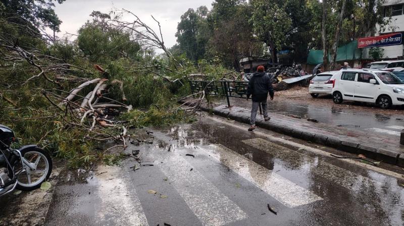 Rain and storm wreak havoc in North India