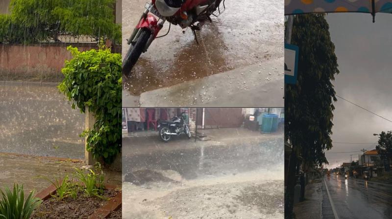 Punjab Weather Update News in punjabi Punjab Weather Update News in punjabi