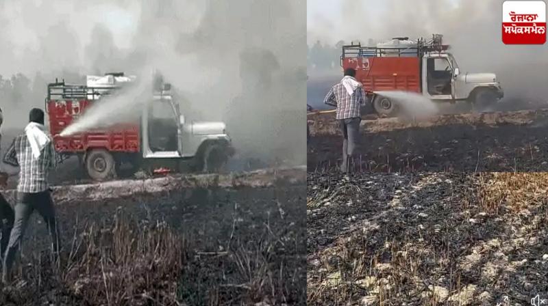 31 acres of farmers' wheat burnt to ashes Haryana News
