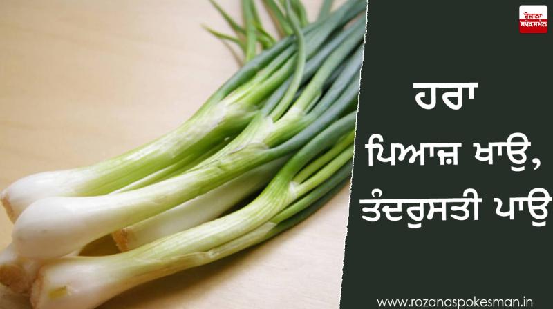 Green Onions Green Onions