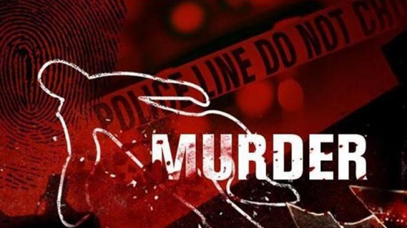 murder murder