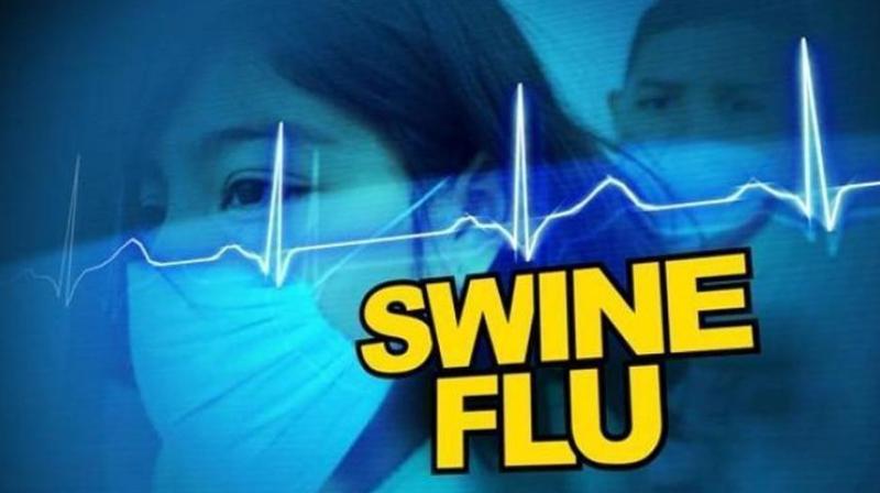 Swine Flu Swine Flu