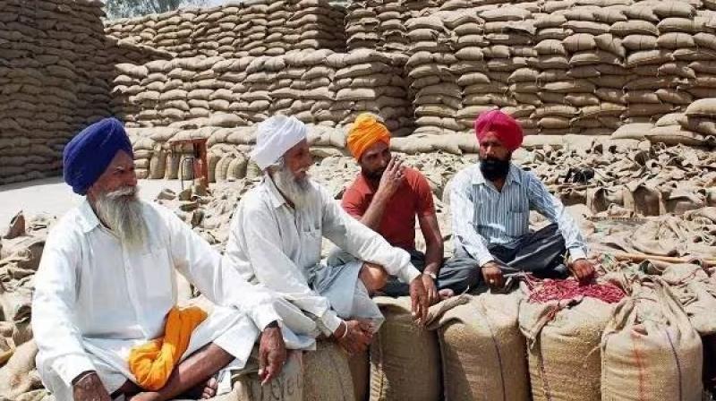 Punjab Wheat procurement starts on April 1