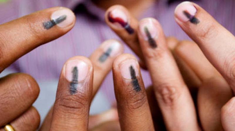 Vote Vote